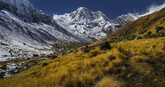 Annapurna Trek Trails with Mountain and Grass Views
